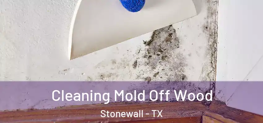  Cleaning Mold Off Wood Stonewall - TX