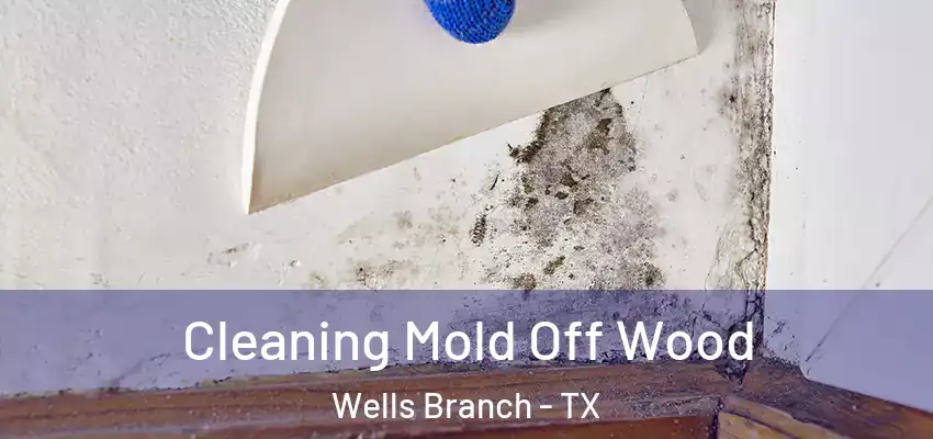 Cleaning Mold Off Wood Wells Branch - TX