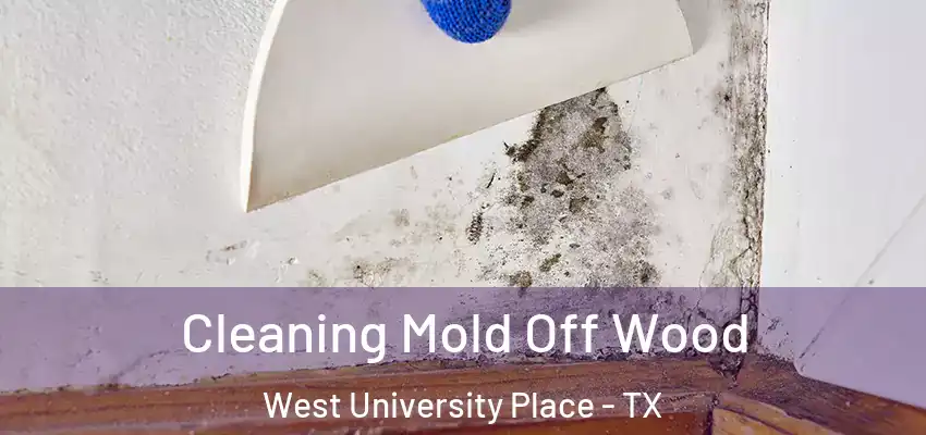  Cleaning Mold Off Wood West University Place - TX