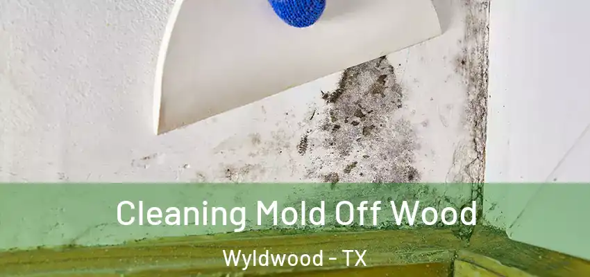  Cleaning Mold Off Wood Wyldwood - TX