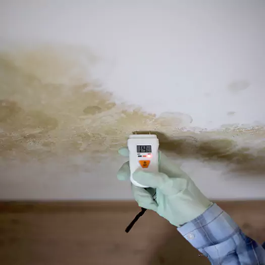 Reliable Mold Inspection Experts in Conroe, TX