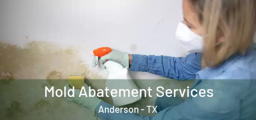  Mold Abatement Services Anderson - TX