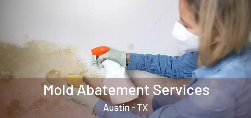  Mold Abatement Services Austin - TX