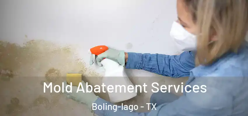  Mold Abatement Services Boling-Iago - TX