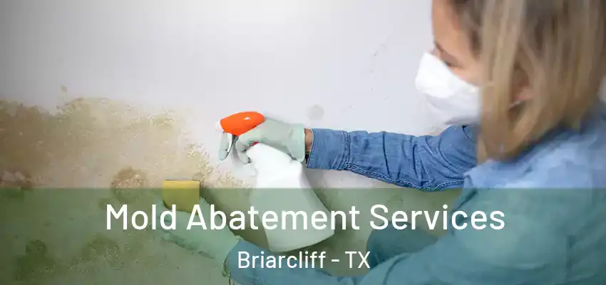  Mold Abatement Services Briarcliff - TX