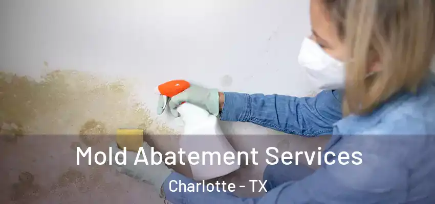  Mold Abatement Services Charlotte - TX