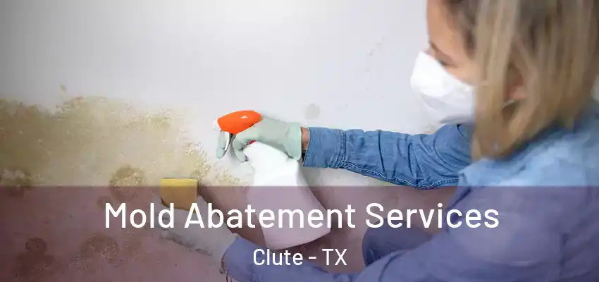  Mold Abatement Services Clute - TX