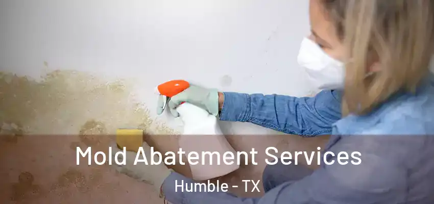  Mold Abatement Services Humble - TX
