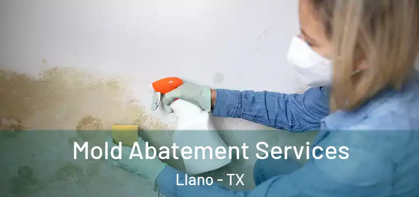  Mold Abatement Services Llano - TX