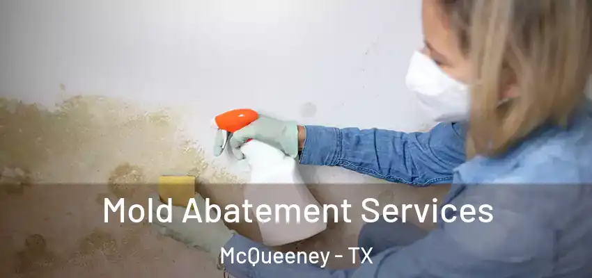  Mold Abatement Services McQueeney - TX