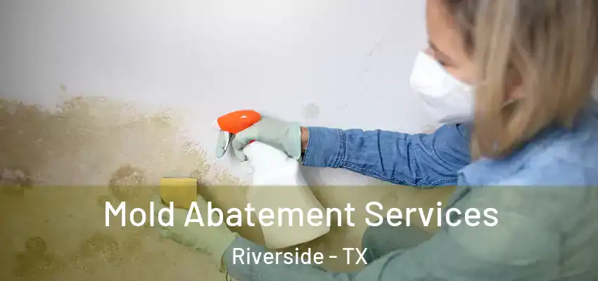  Mold Abatement Services Riverside - TX