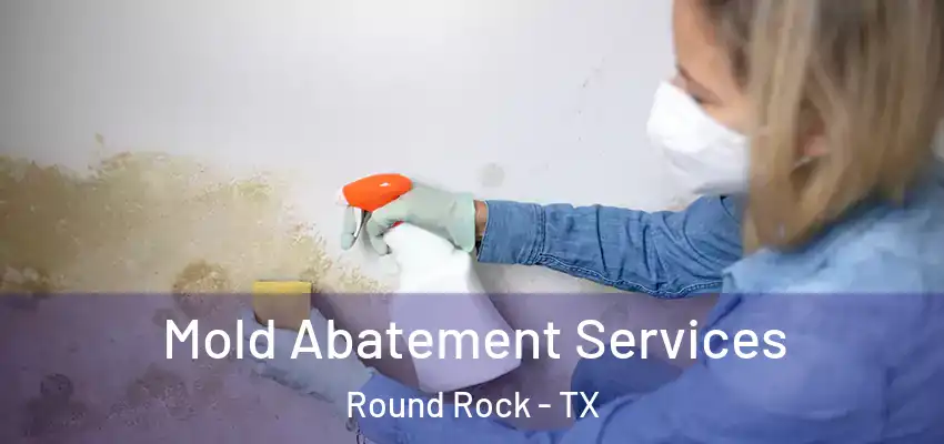  Mold Abatement Services Round Rock - TX