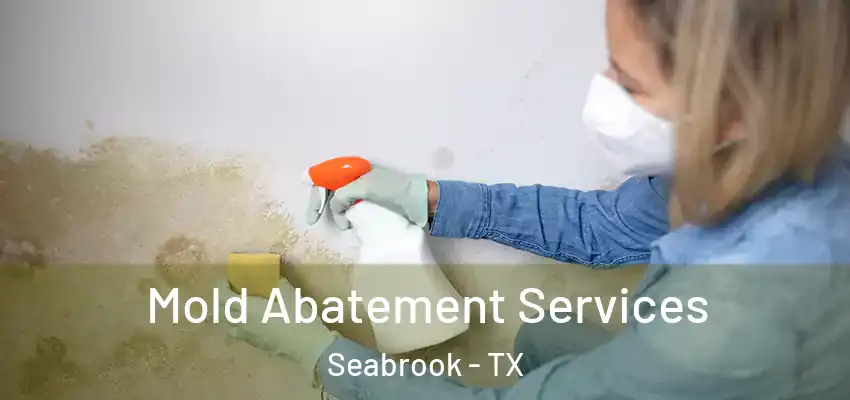  Mold Abatement Services Seabrook - TX