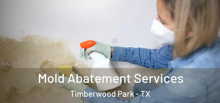 Mold Abatement Services Timberwood Park - TX