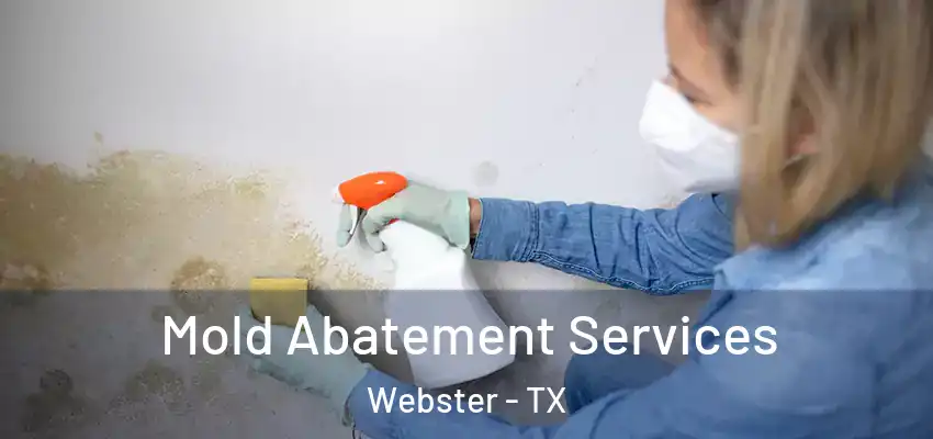  Mold Abatement Services Webster - TX