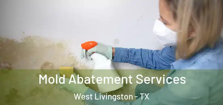  Mold Abatement Services West Livingston - TX
