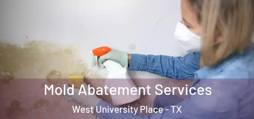  Mold Abatement Services West University Place - TX