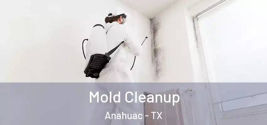  Mold Cleanup Anahuac - TX