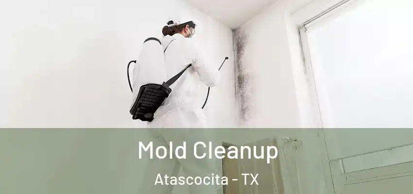  Mold Cleanup Atascocita - TX
