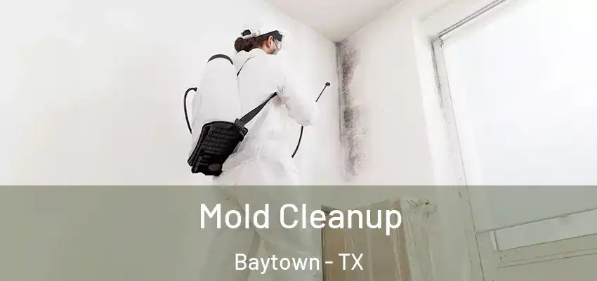  Mold Cleanup Baytown - TX