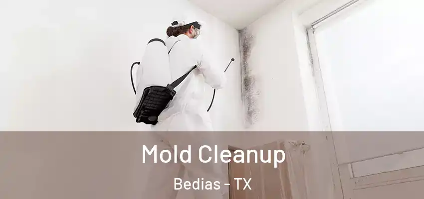  Mold Cleanup Bedias - TX