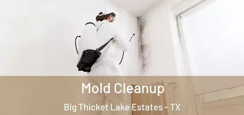  Mold Cleanup Big Thicket Lake Estates - TX