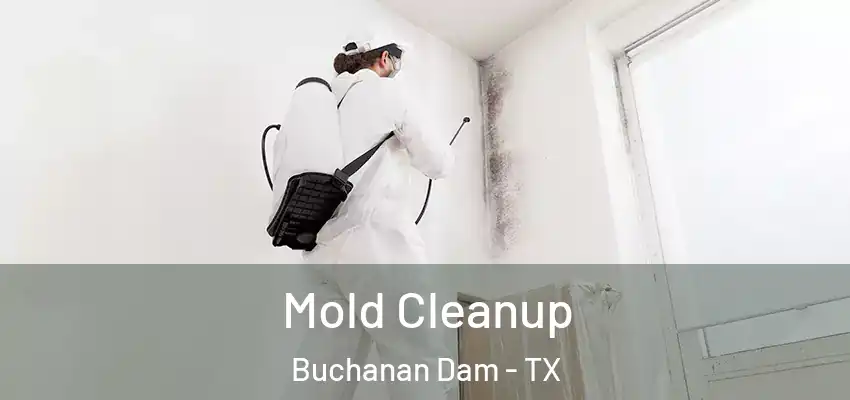  Mold Cleanup Buchanan Dam - TX