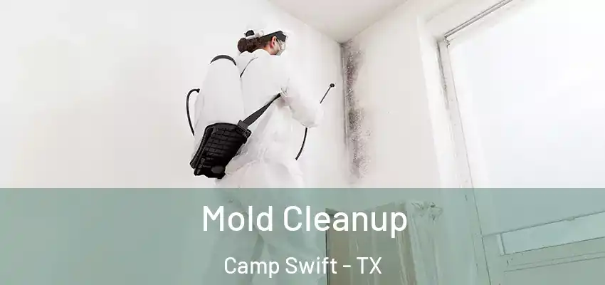  Mold Cleanup Camp Swift - TX