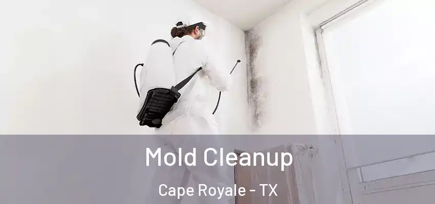  Mold Cleanup Cape Royale - TX