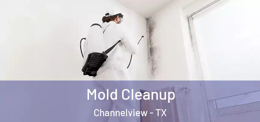  Mold Cleanup Channelview - TX