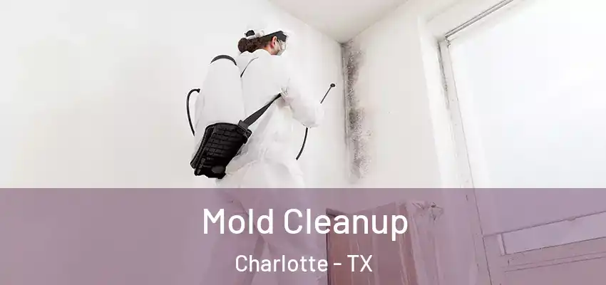  Mold Cleanup Charlotte - TX