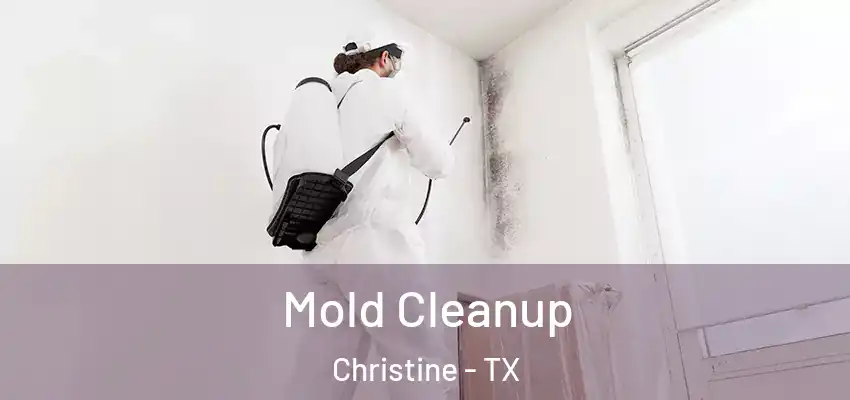  Mold Cleanup Christine - TX