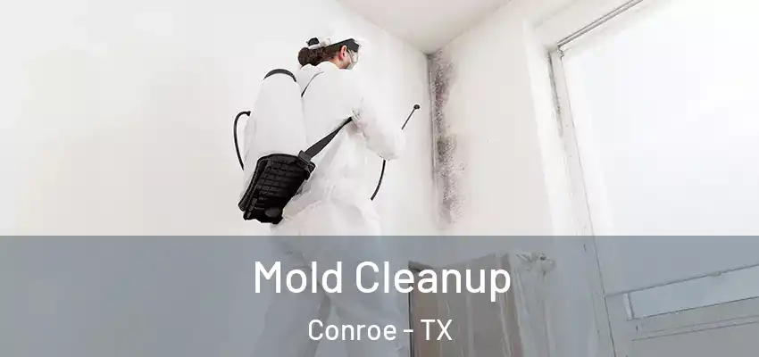  Mold Cleanup Conroe - TX