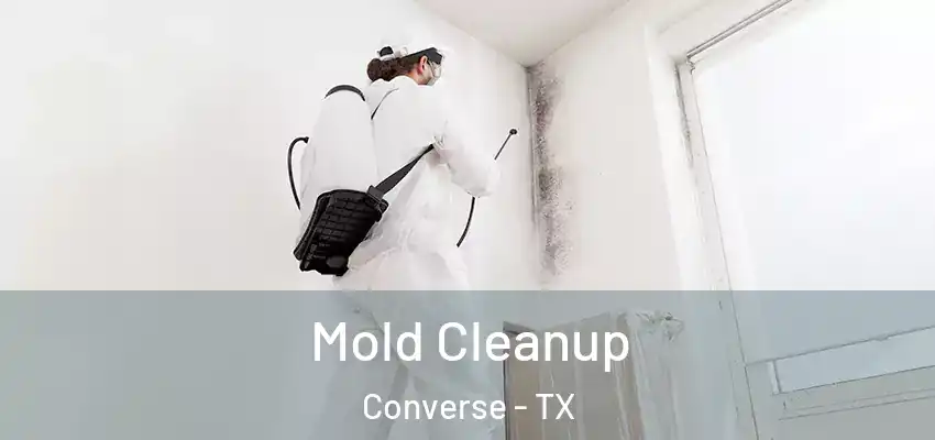  Mold Cleanup Converse - TX