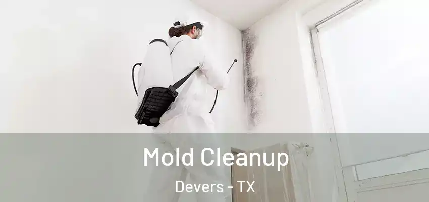  Mold Cleanup Devers - TX