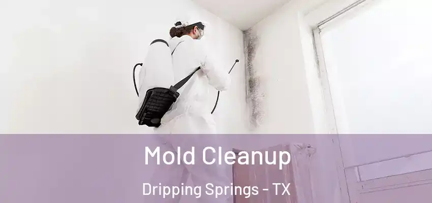  Mold Cleanup Dripping Springs - TX