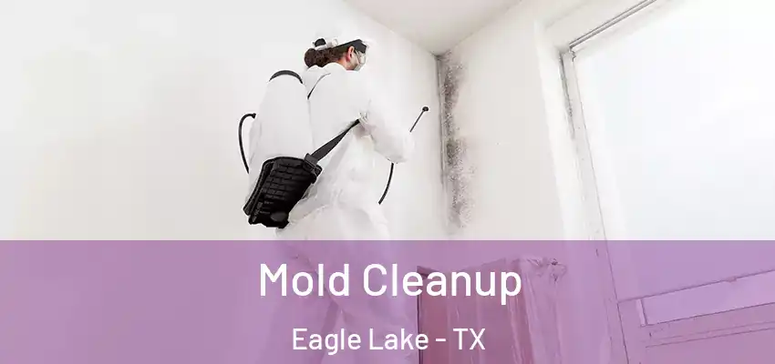  Mold Cleanup Eagle Lake - TX