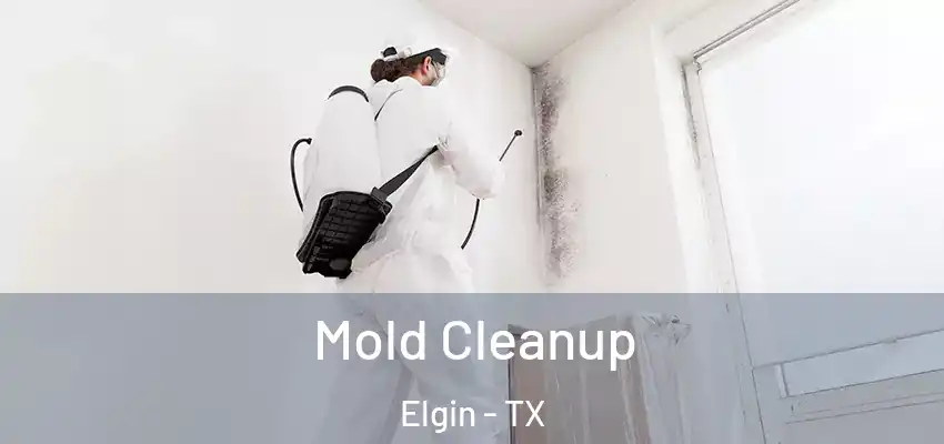  Mold Cleanup Elgin - TX