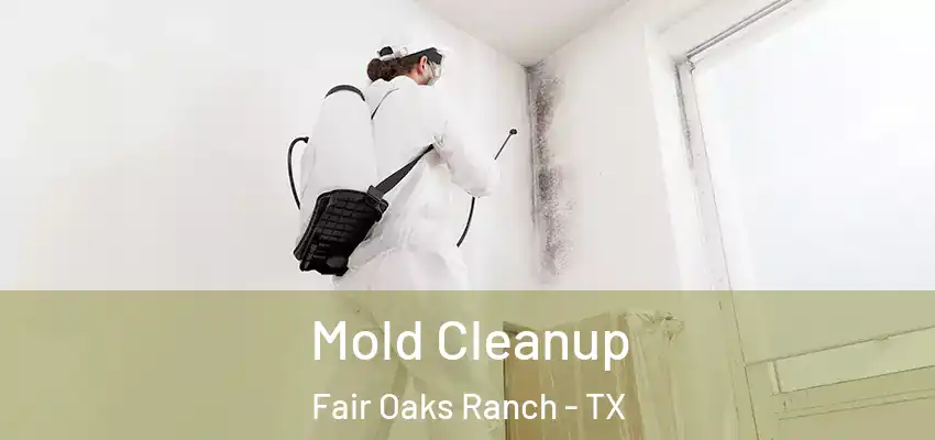  Mold Cleanup Fair Oaks Ranch - TX