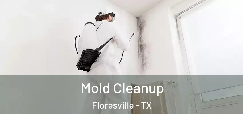  Mold Cleanup Floresville - TX