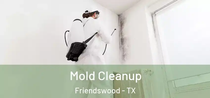  Mold Cleanup Friendswood - TX