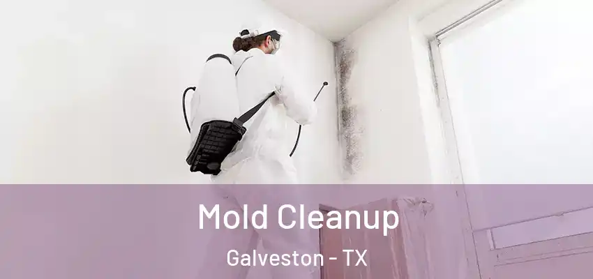  Mold Cleanup Galveston - TX