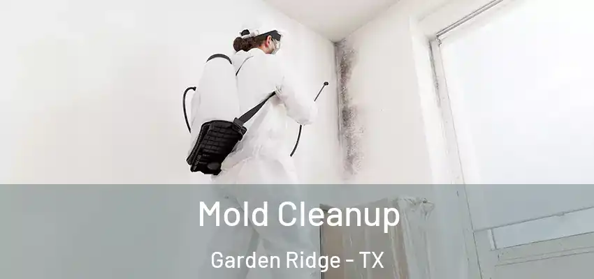  Mold Cleanup Garden Ridge - TX
