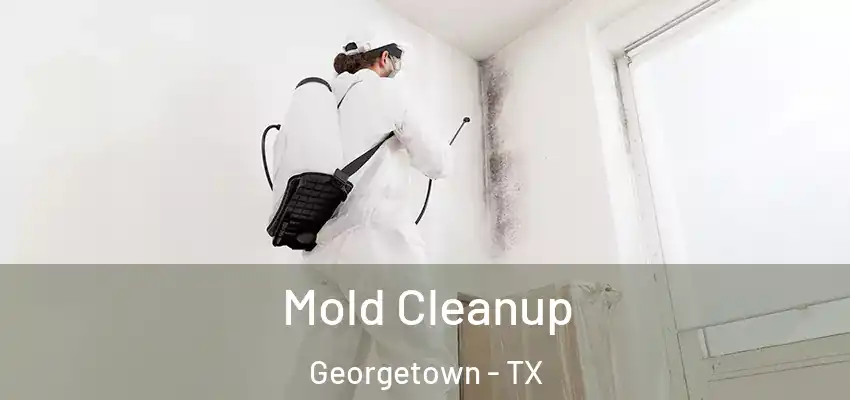  Mold Cleanup Georgetown - TX