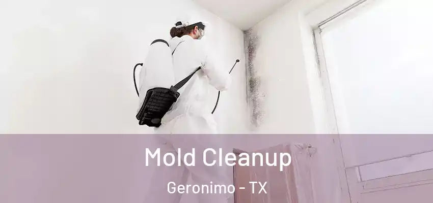  Mold Cleanup Geronimo - TX