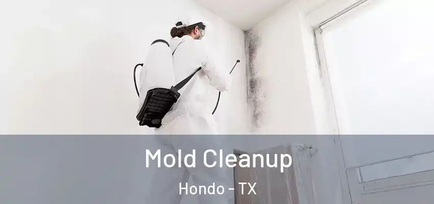  Mold Cleanup Hondo - TX