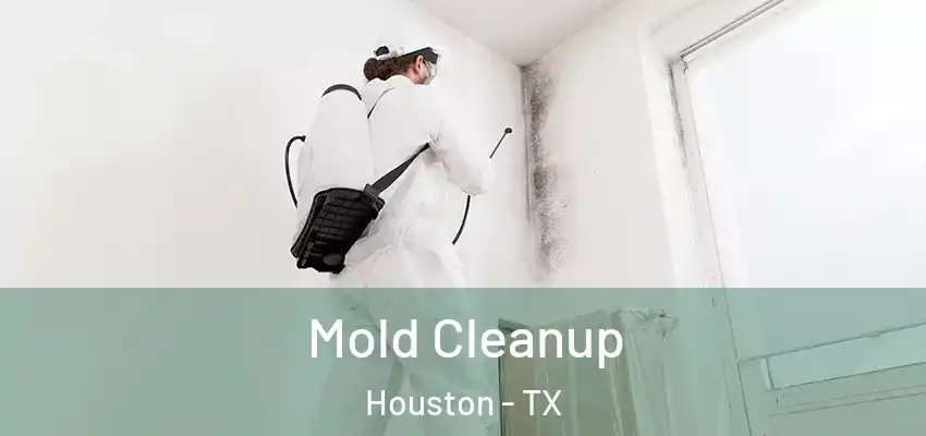  Mold Cleanup Houston - TX