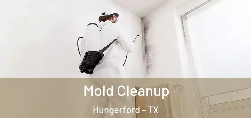  Mold Cleanup Hungerford - TX