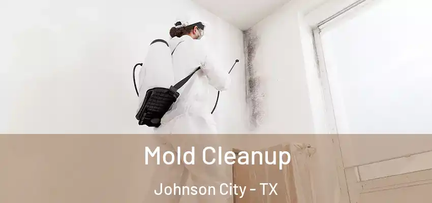  Mold Cleanup Johnson City - TX