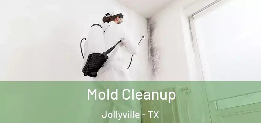  Mold Cleanup Jollyville - TX